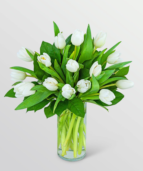 White Tulips