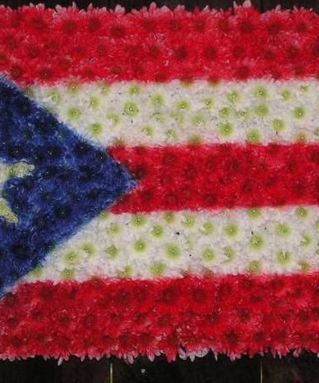 Puerto Rico Flag